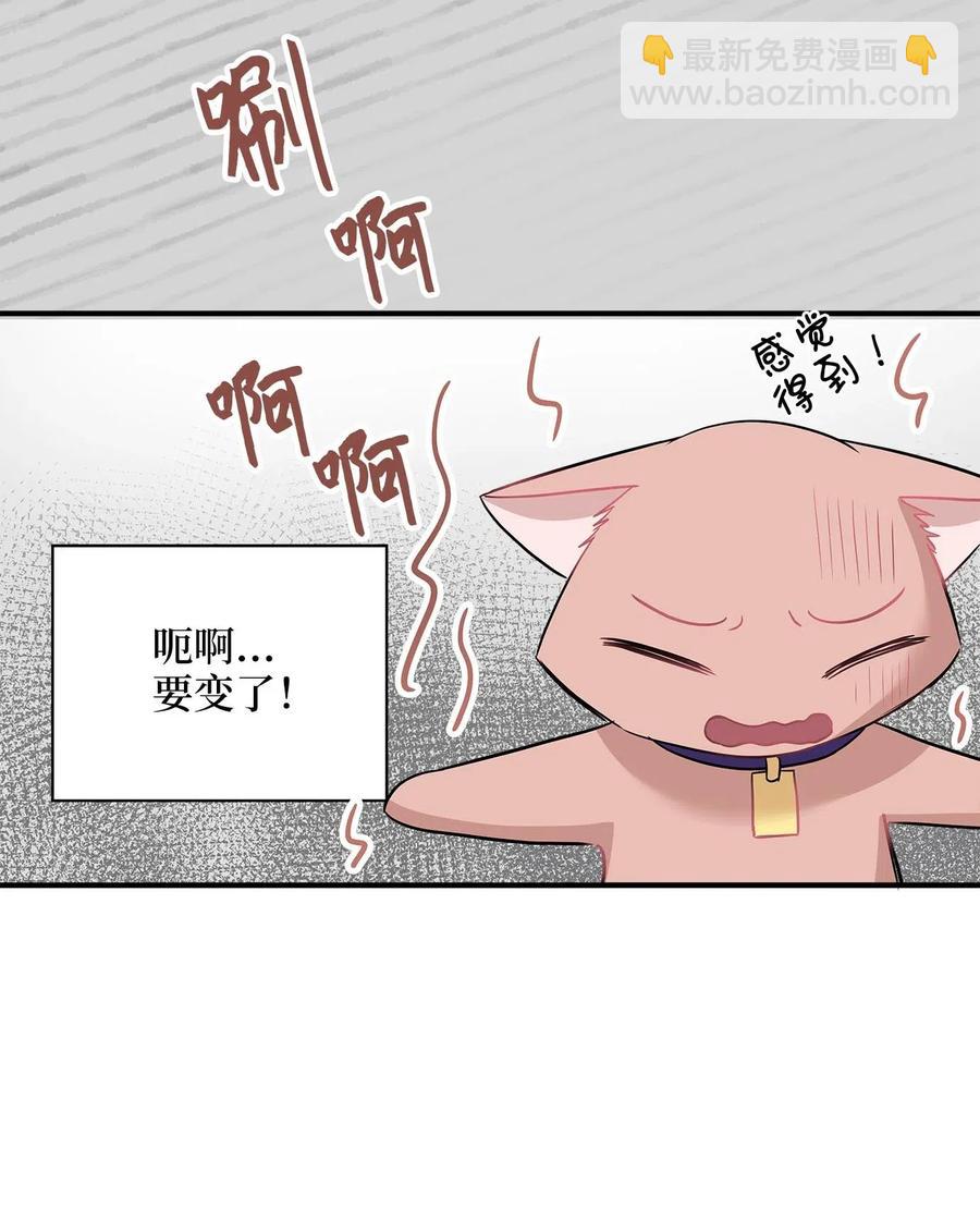 22 真相大白(1/2)-第22话