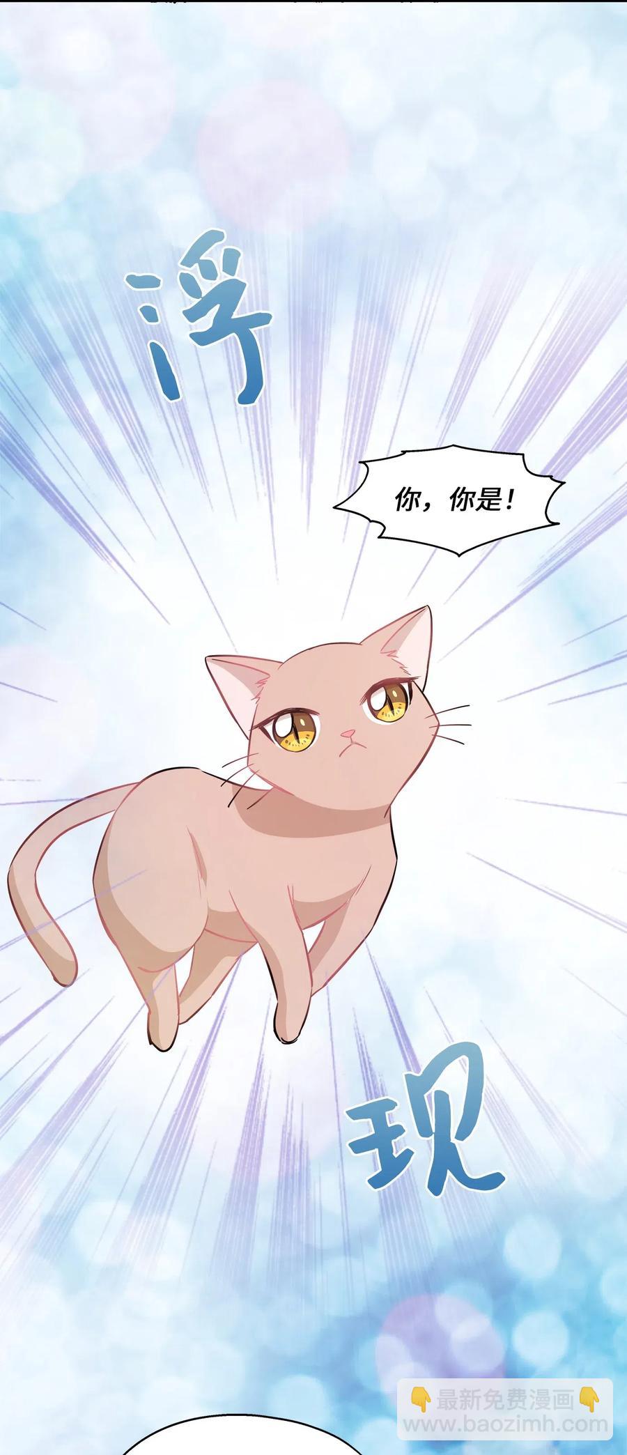 40 你是谁(1/2)-第40话