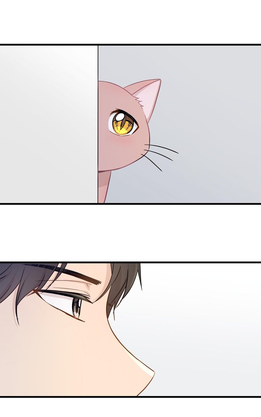 06 权主任的坦白(1/2)-第6话