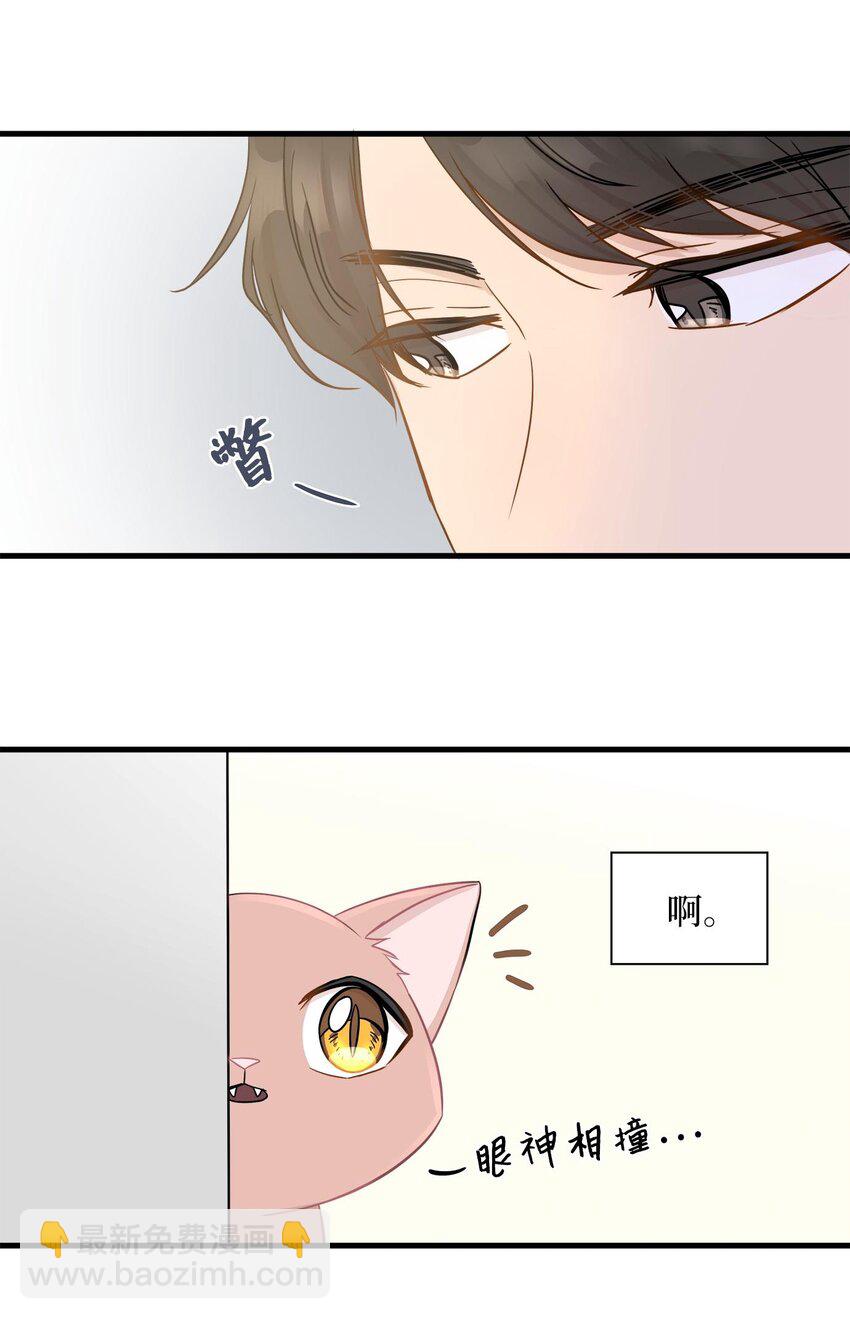 06 权主任的坦白(1/2)-第6话