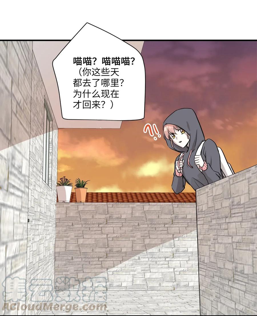 52 黑猫使者(1/2)-第52话