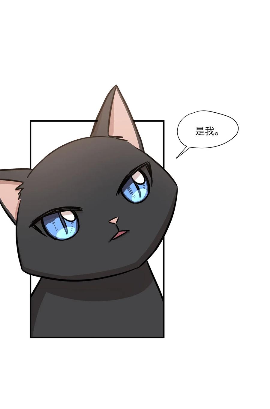 52 黑猫使者(1/2)-第52话