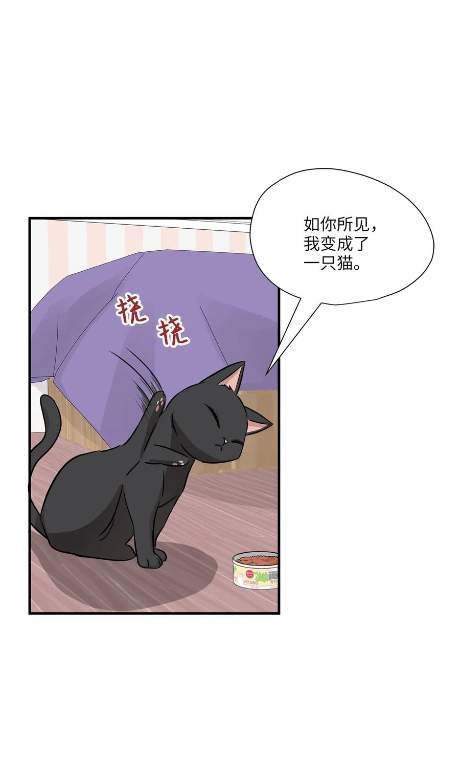 52 黑猫使者(1/2)-第52话