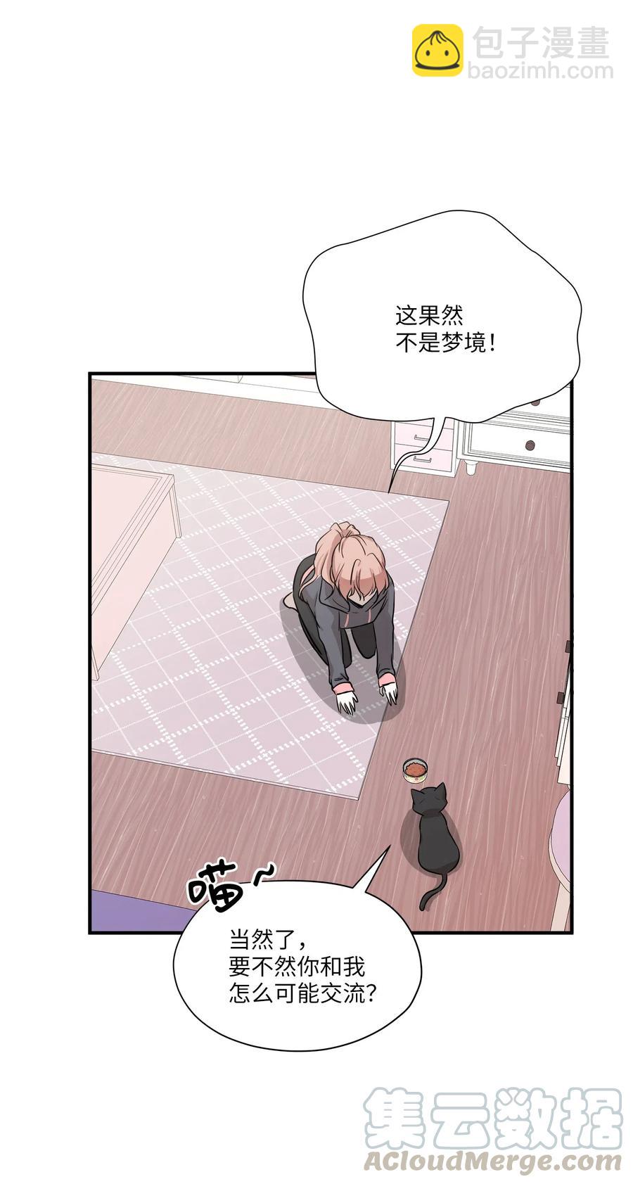 52 黑猫使者(1/2)-第52话