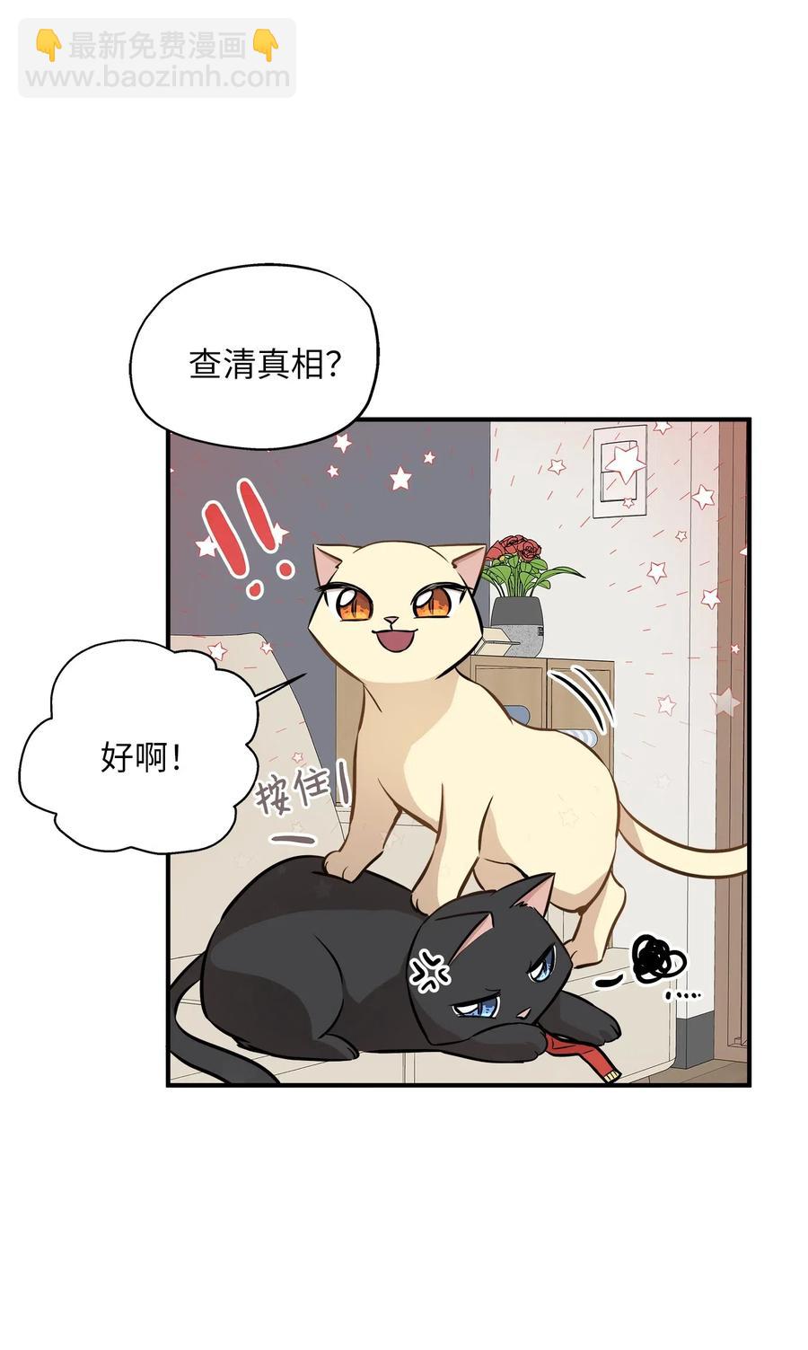 58 苗苗的疑惑(1/2)-第58话