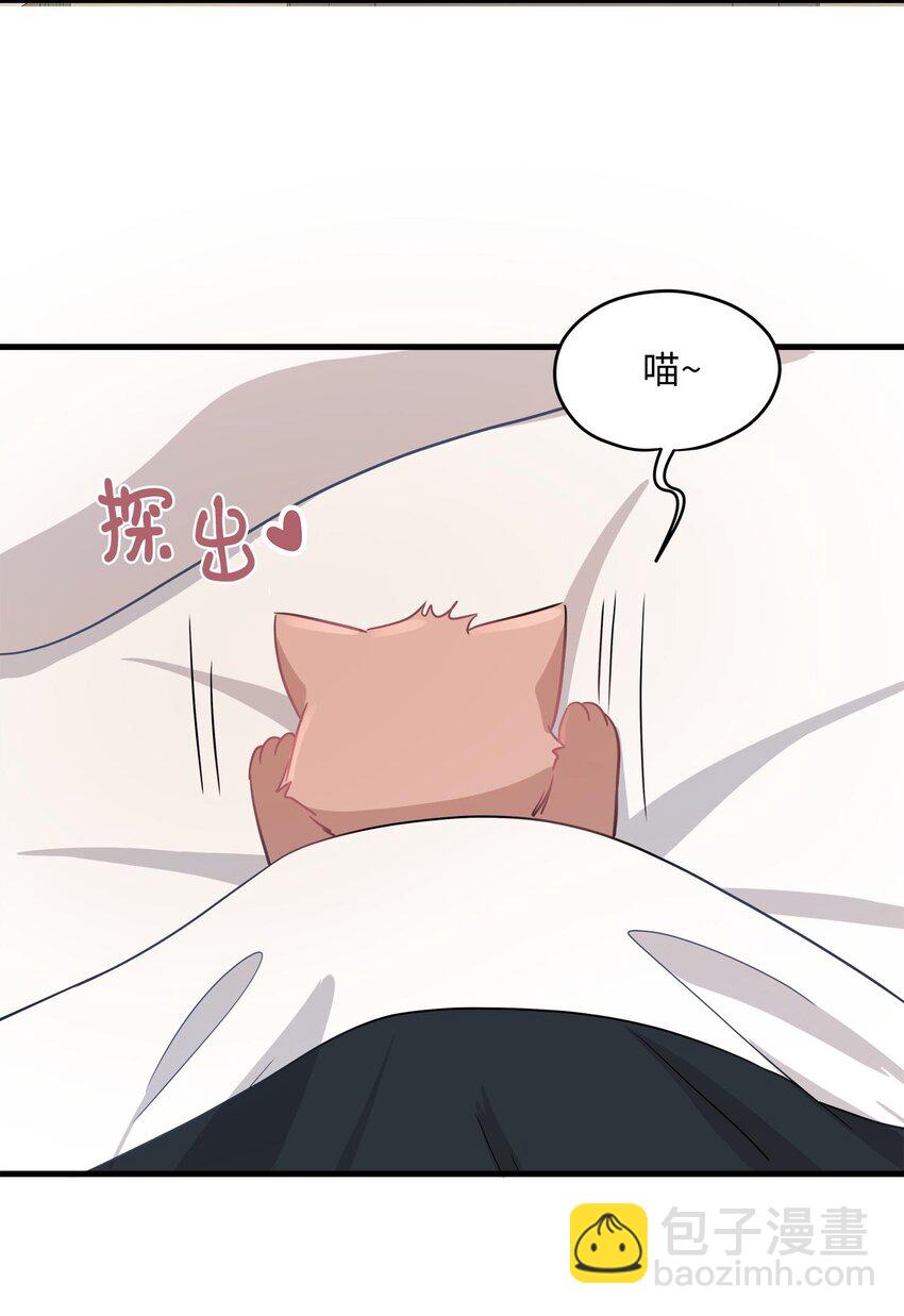 08 这只猫自带闹钟功能(1/2)-第8话