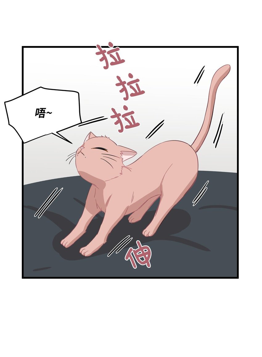 08 这只猫自带闹钟功能(1/2)-第8话