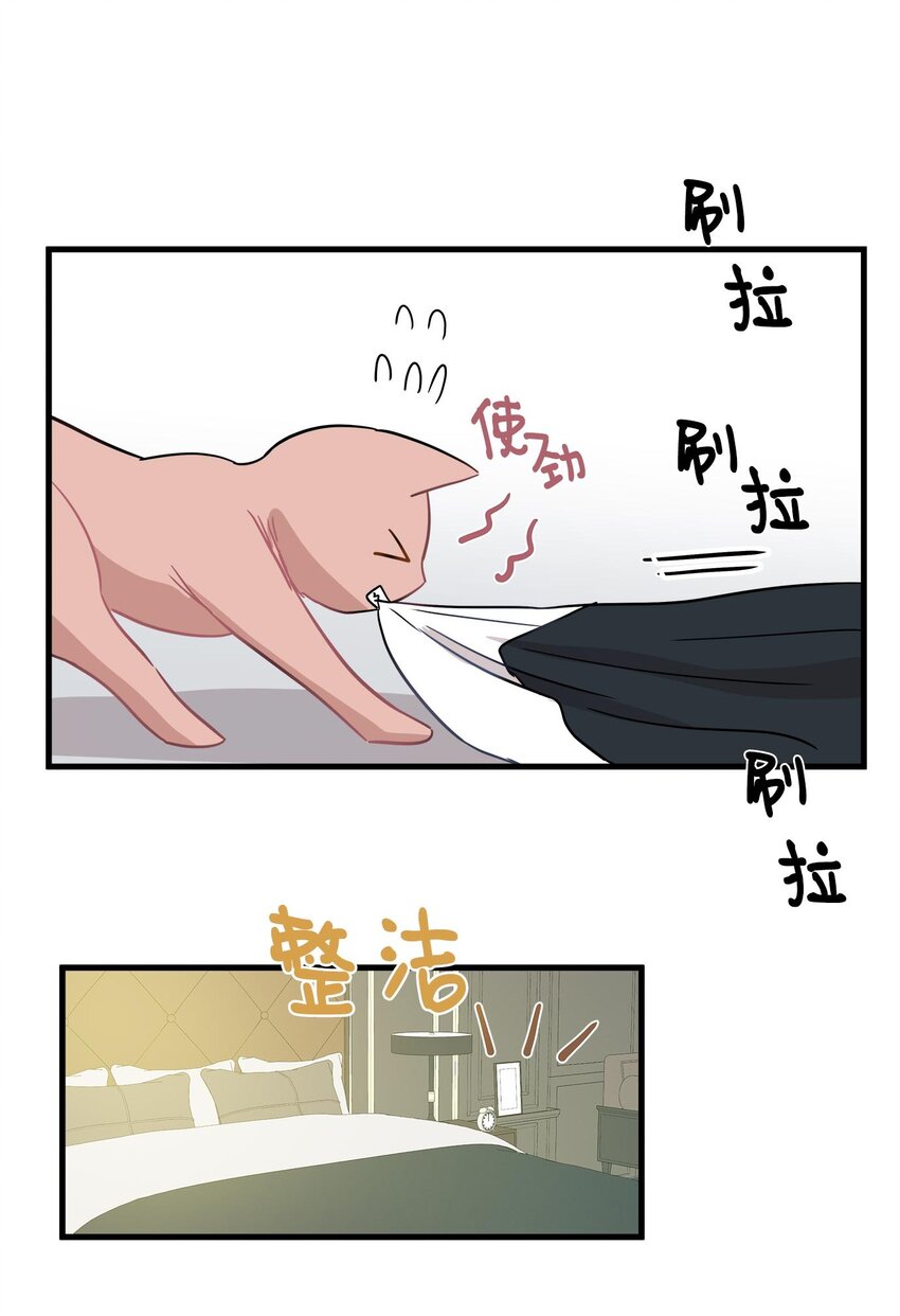 08 这只猫自带闹钟功能(1/2)-第8话