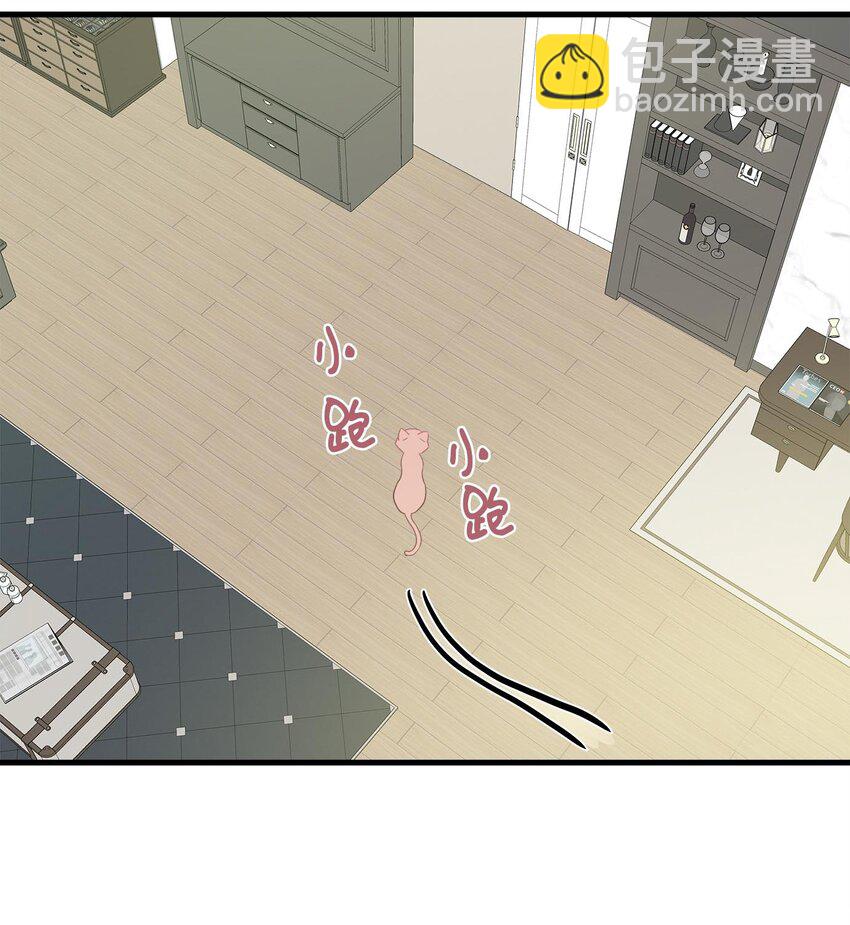 08 这只猫自带闹钟功能(1/2)-第8话