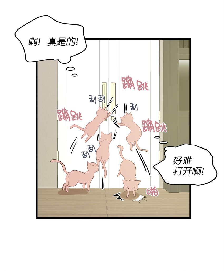08 这只猫自带闹钟功能(1/2)-第8话