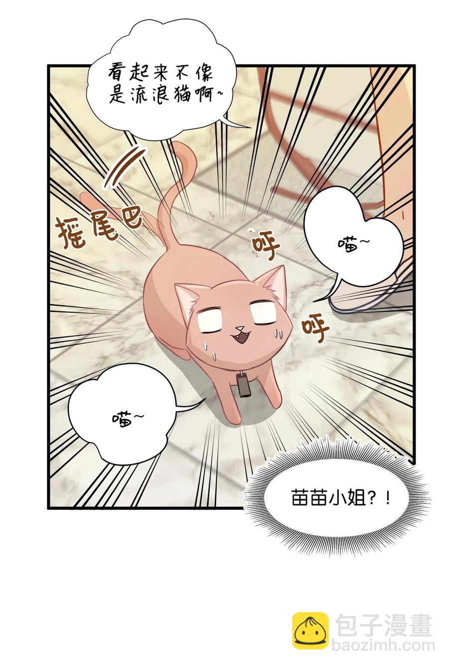 10 喵喵快递(1/2)-第10话