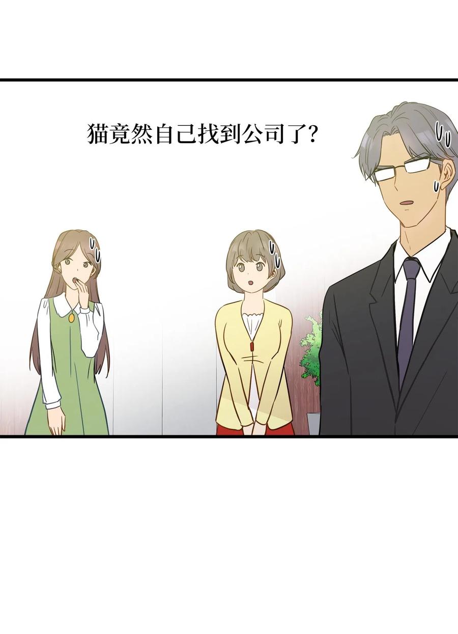 10 喵喵快递(1/2)-第10话