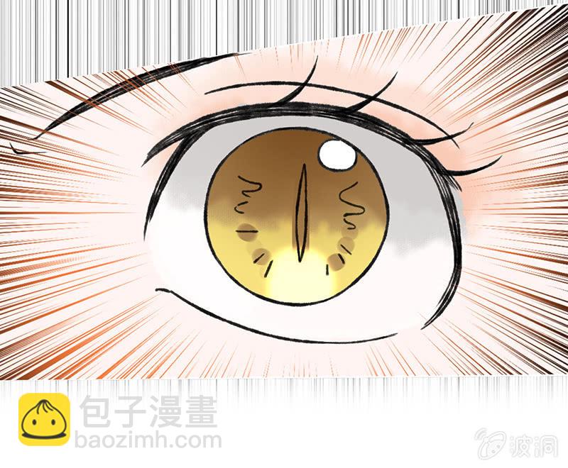 第五十六话-第56话