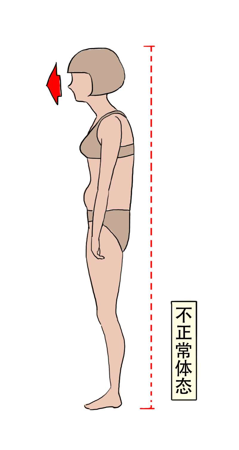 第65话 教练的新学员3-第68话