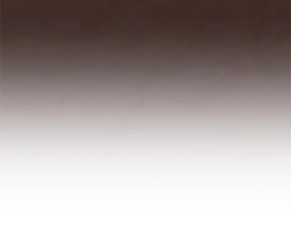 爲什麼對惡女執着 - 第86話 發動政變？(3/6) - 6