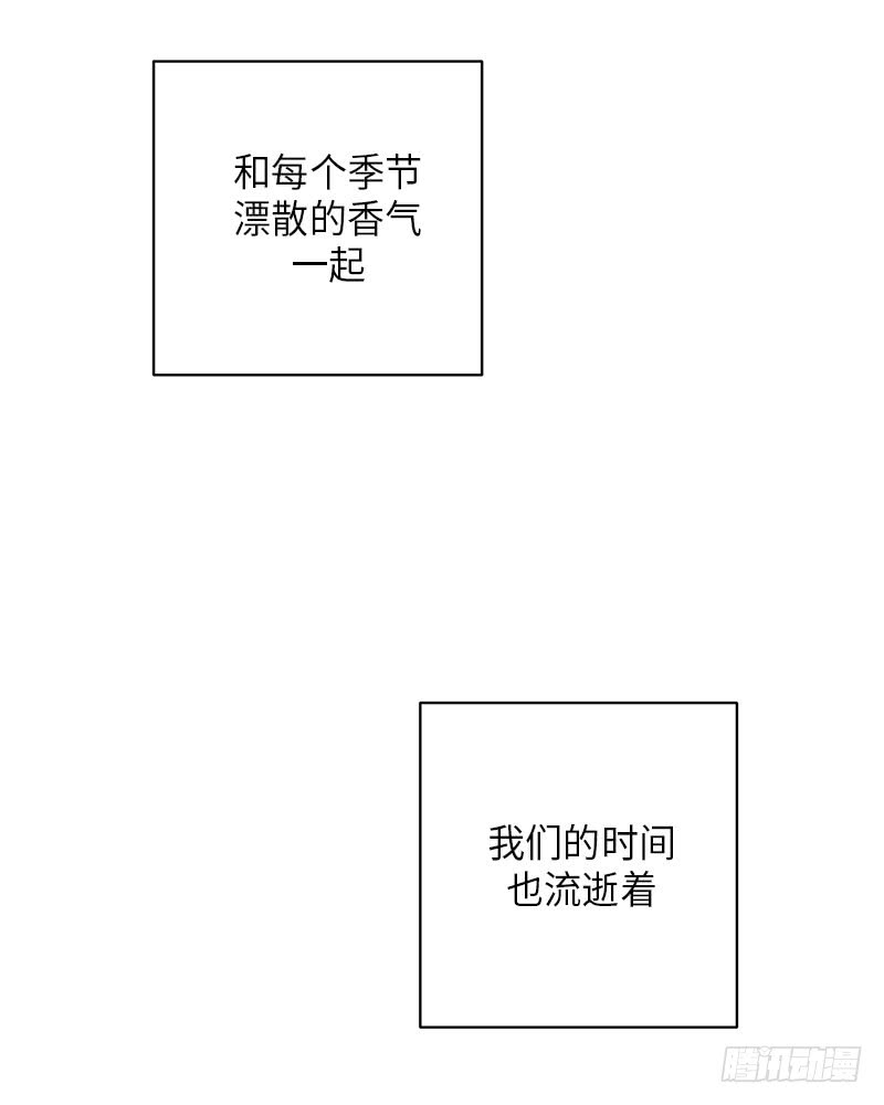 第54话(1/2)-第54话