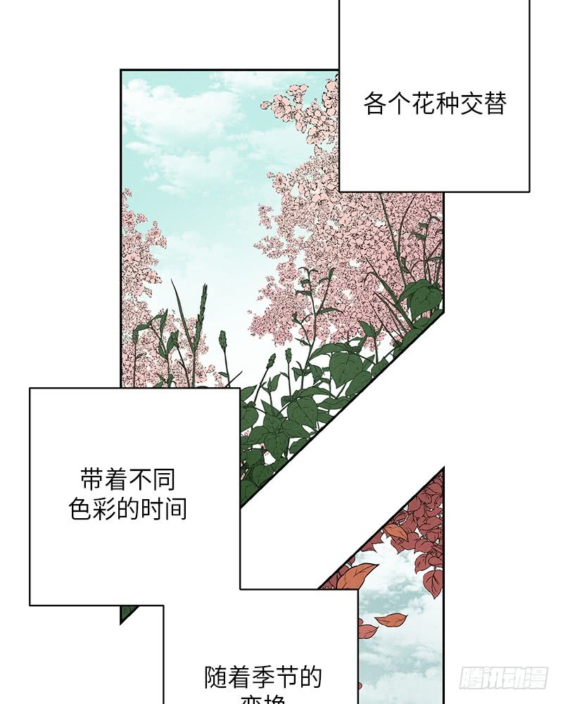 第54话(1/2)-第54话