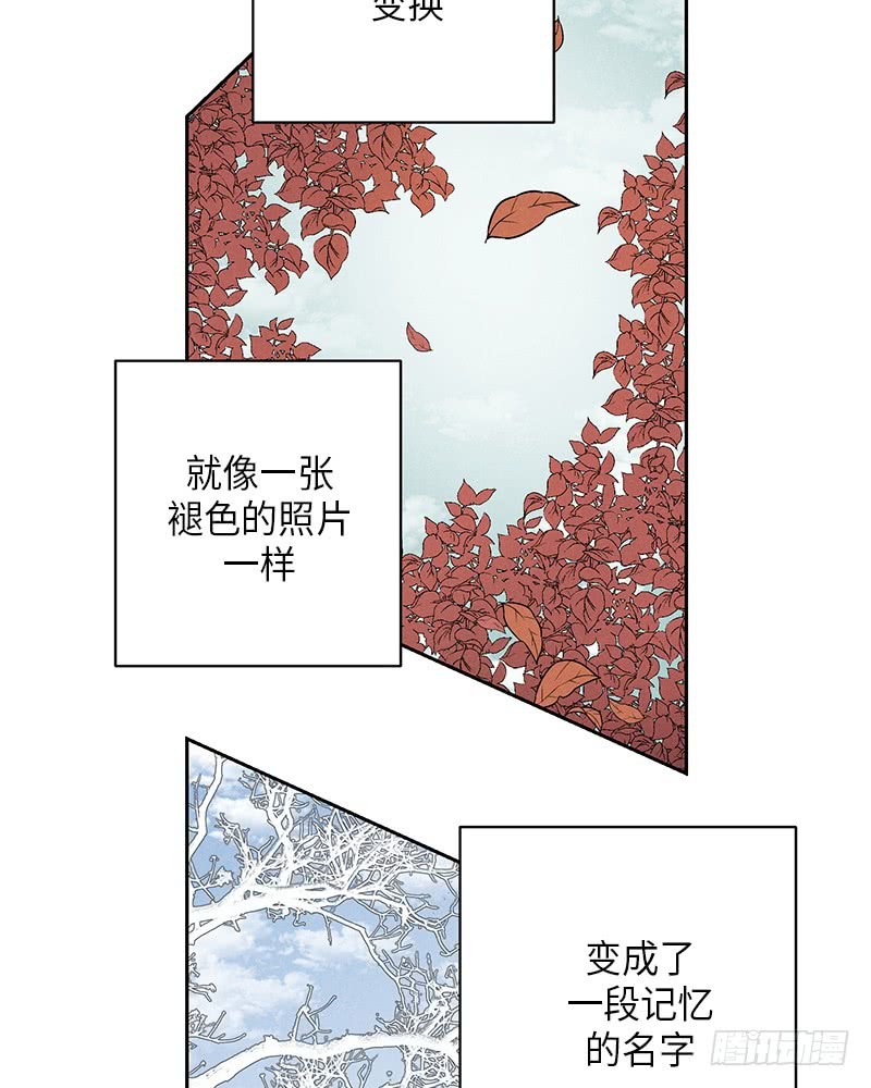第54话(1/2)-第54话