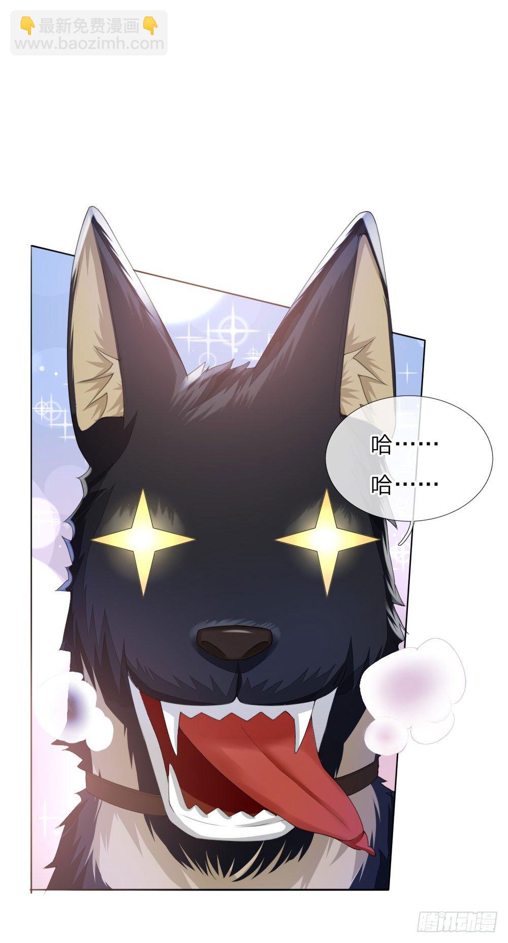 第6话 饿狗来袭-第6话