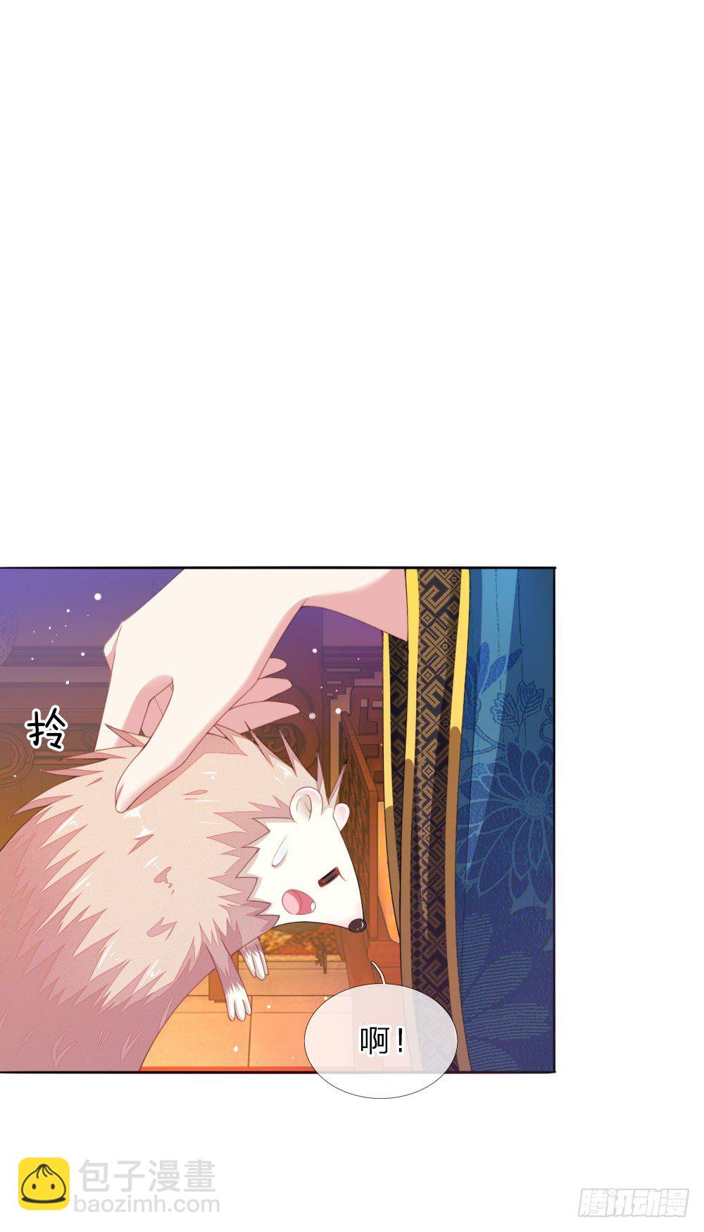 第6话 饿狗来袭-第6话