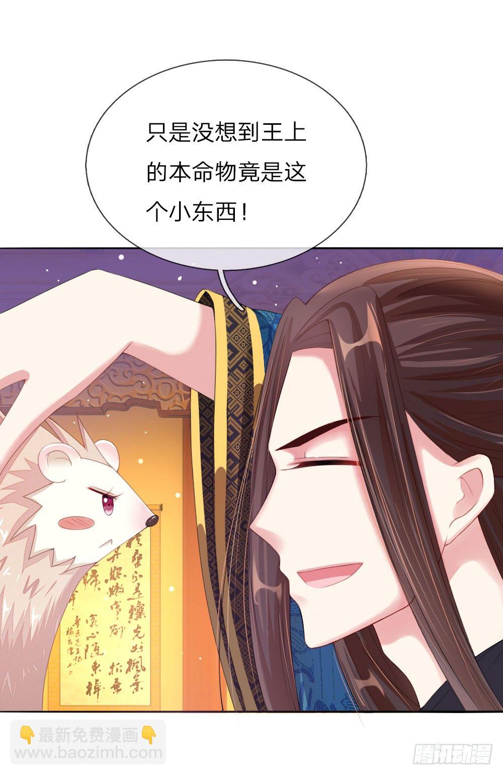 第6话 饿狗来袭-第6话