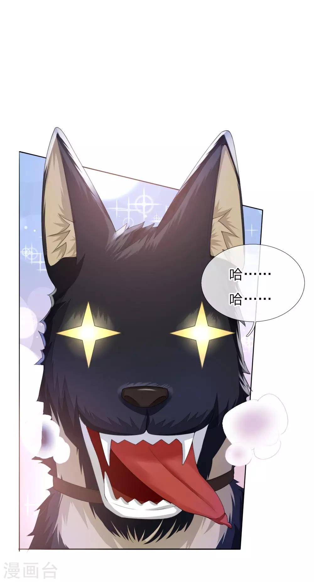 第6话 饿狗来袭-第6话