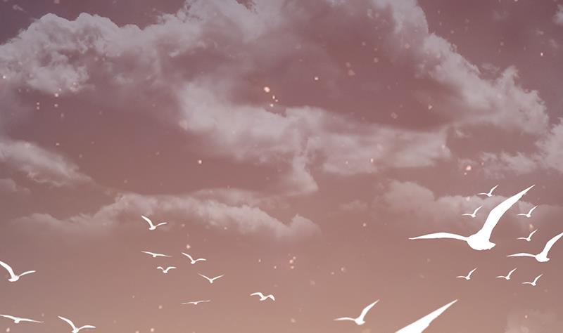 第117话 最好的结局(1/2)-第118话