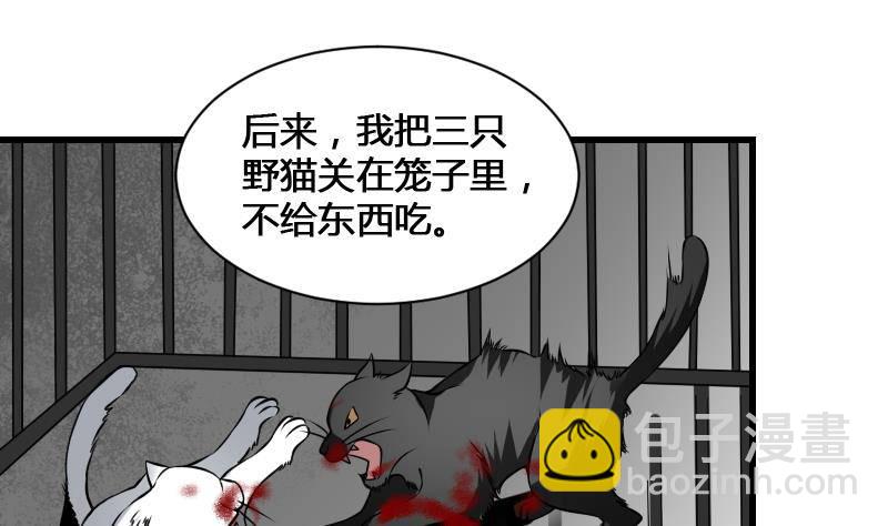 紋陰師 - 第12話 虐貓狂人(1/2) - 8