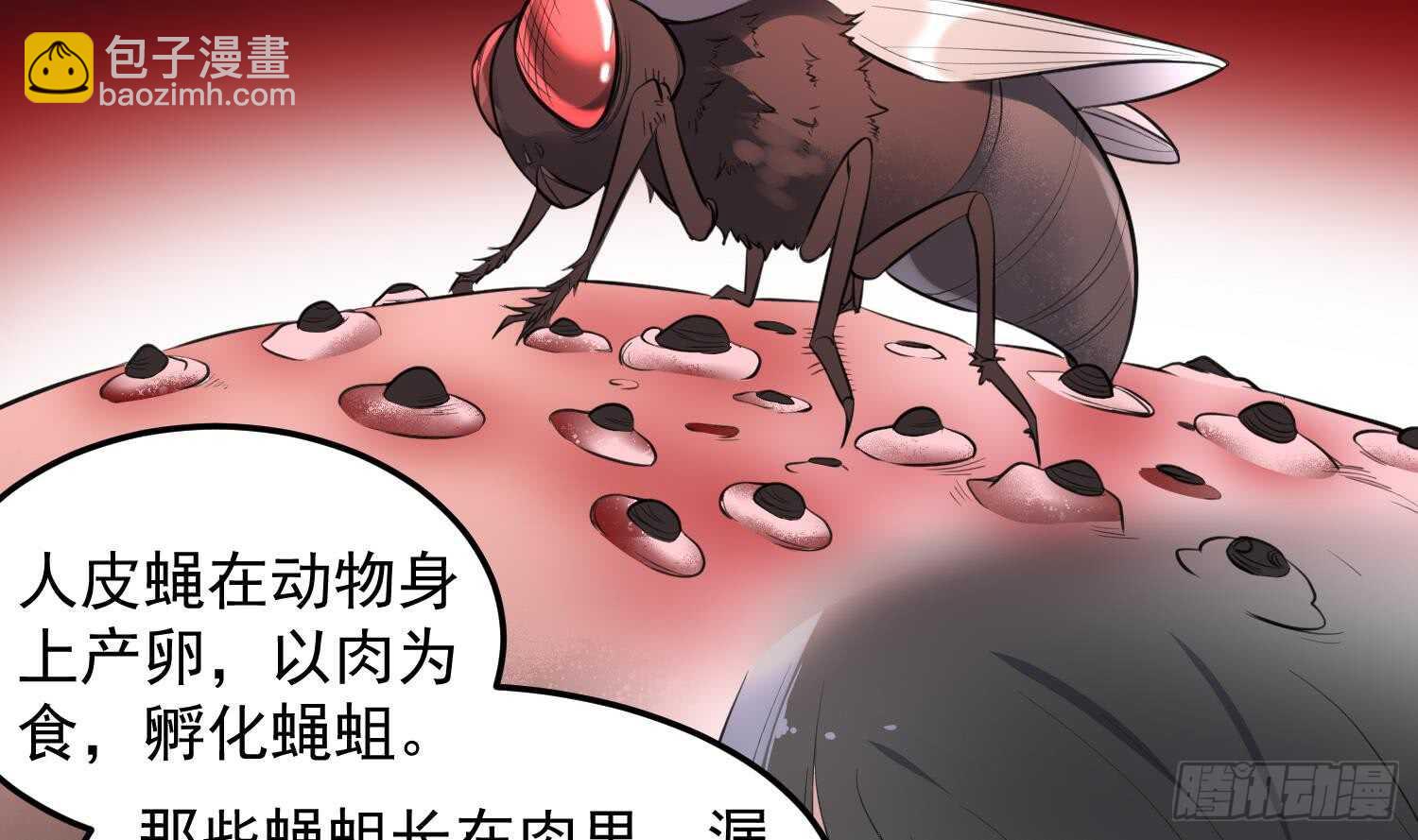 紋陰師 - 第150話 黑暗中的眼睛(1/2) - 6