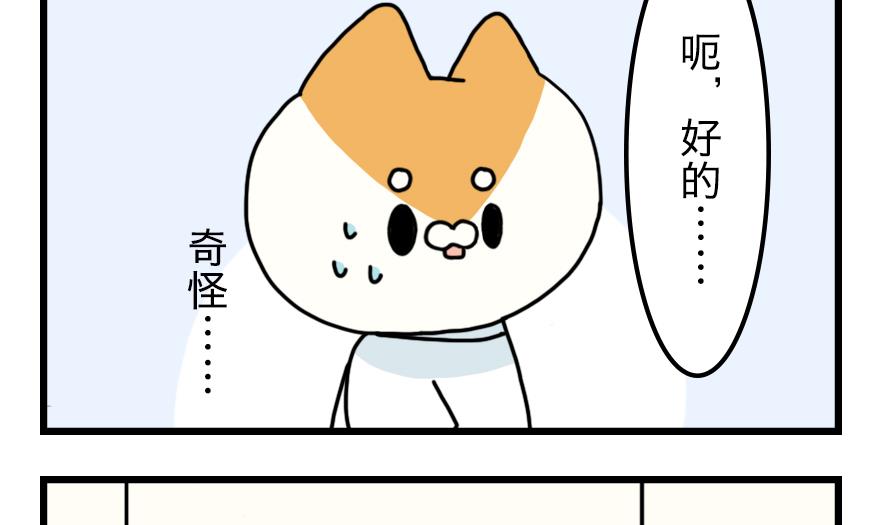 第20话 兔子也追星！？-第20话