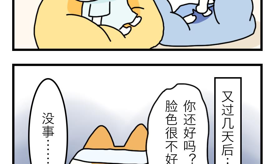 第20话 兔子也追星！？-第20话