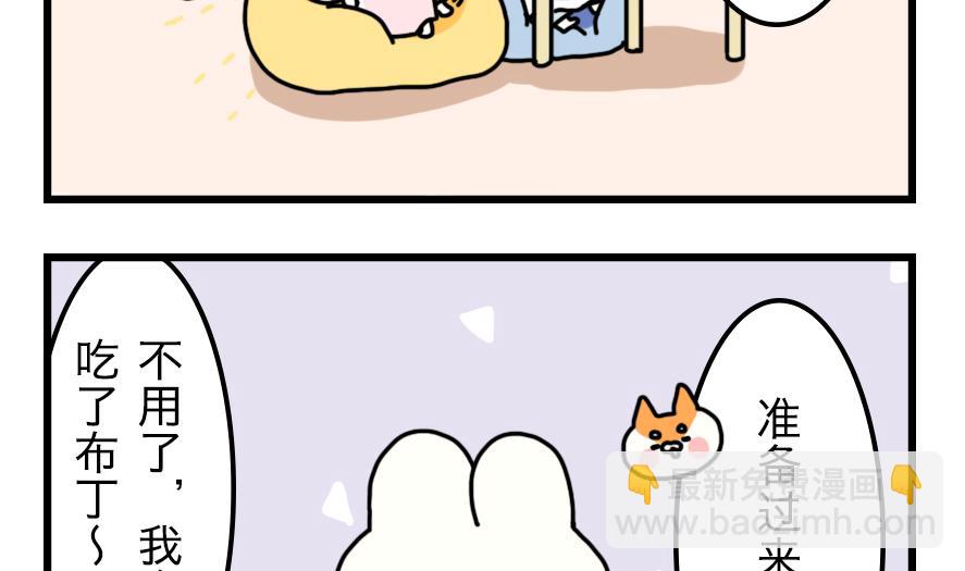 第20话 兔子也追星！？-第20话