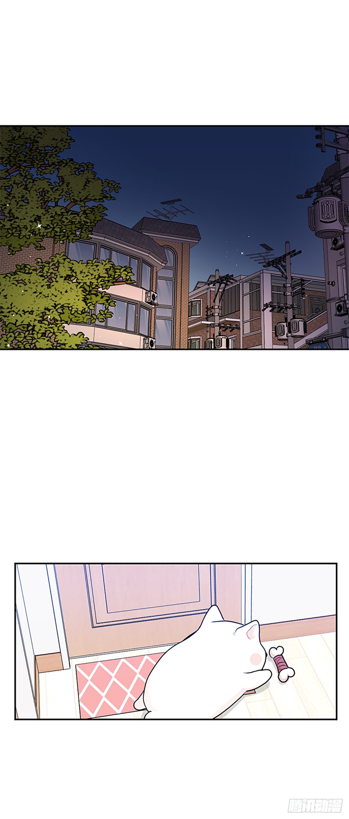 第2话(1/2)-第2话