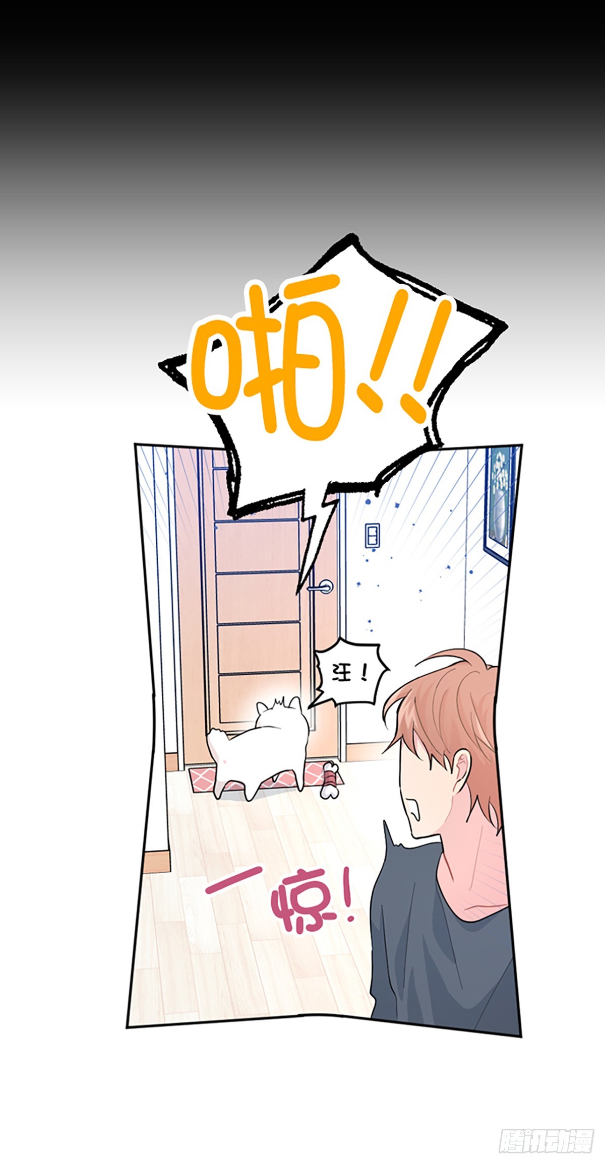 第2话(1/2)-第2话