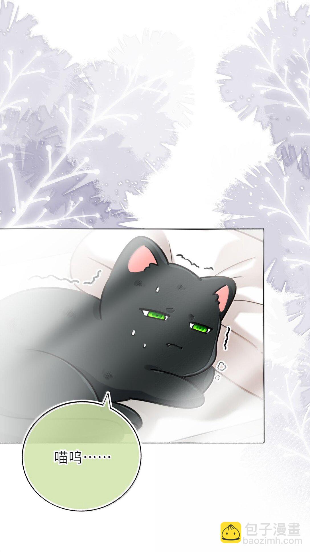 125 喵生这辈子值了-第132话