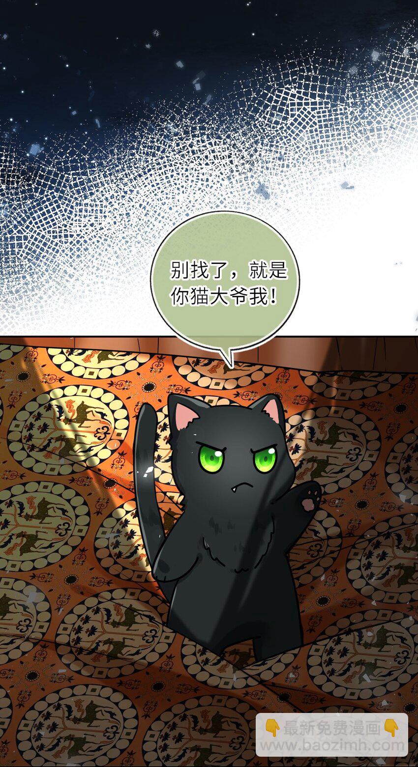 088 凤姐姐是猫妖吗(1/2)-第90话