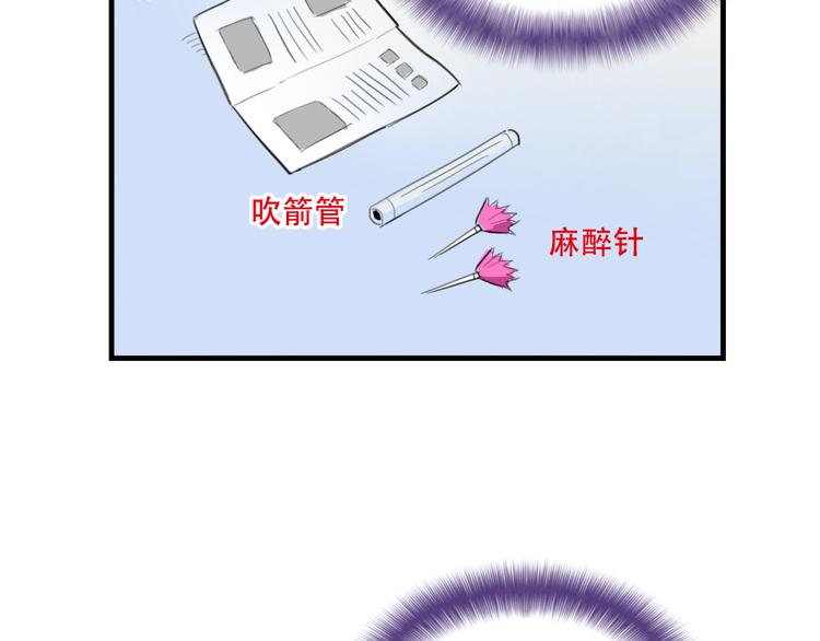 第18话 来一决胜负！(1/2)-第18话