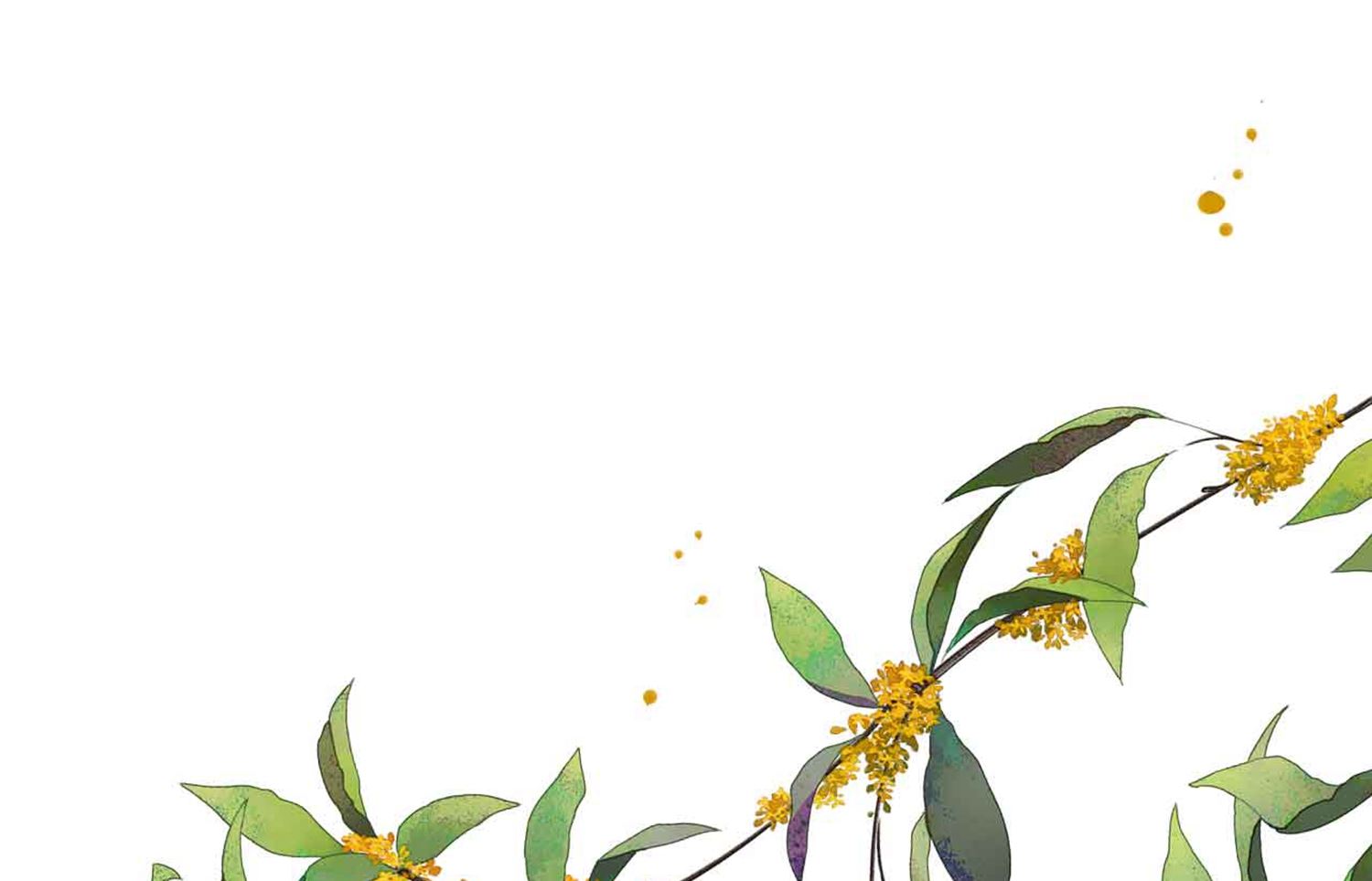 第330话(1/2)-第330话