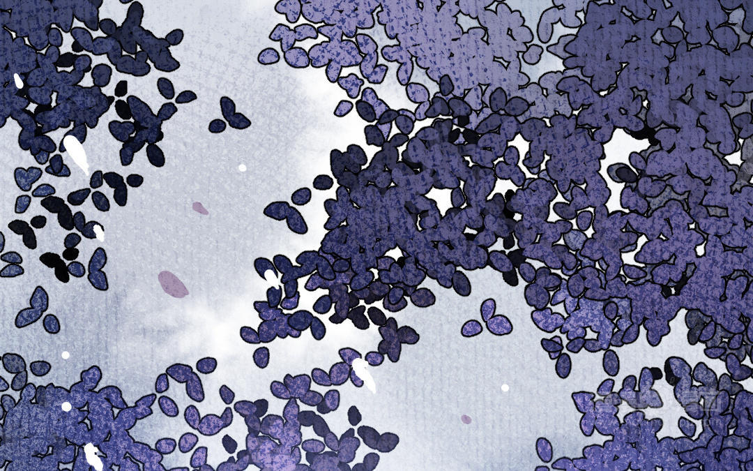 第7话 试探与离开(1/4)-第8话