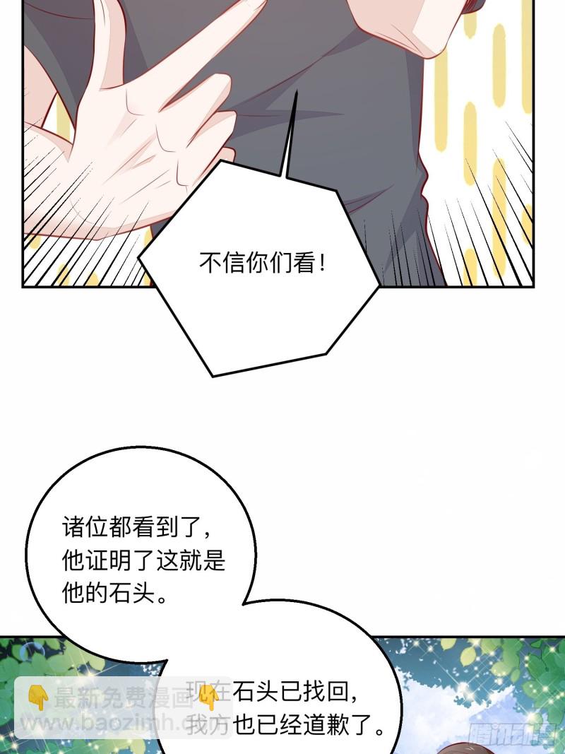 五十万的石头-第40话