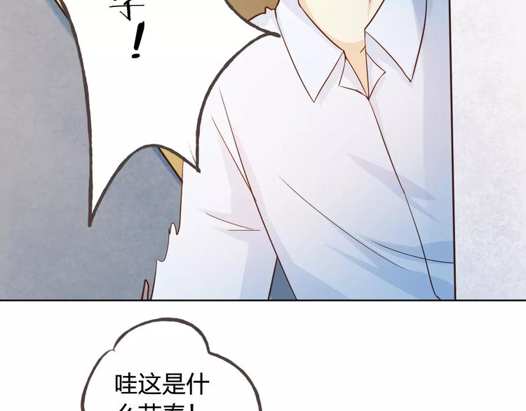 完结篇 今后的我们(1/3)-第50话