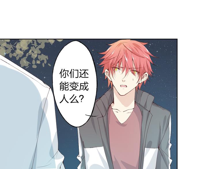 第9话 神奇的月光！(1/3)-第10话