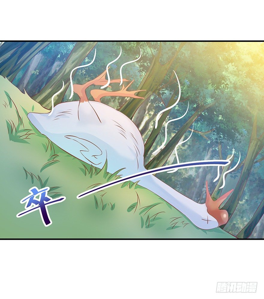 你成功引起了鹅的注意！-第20话