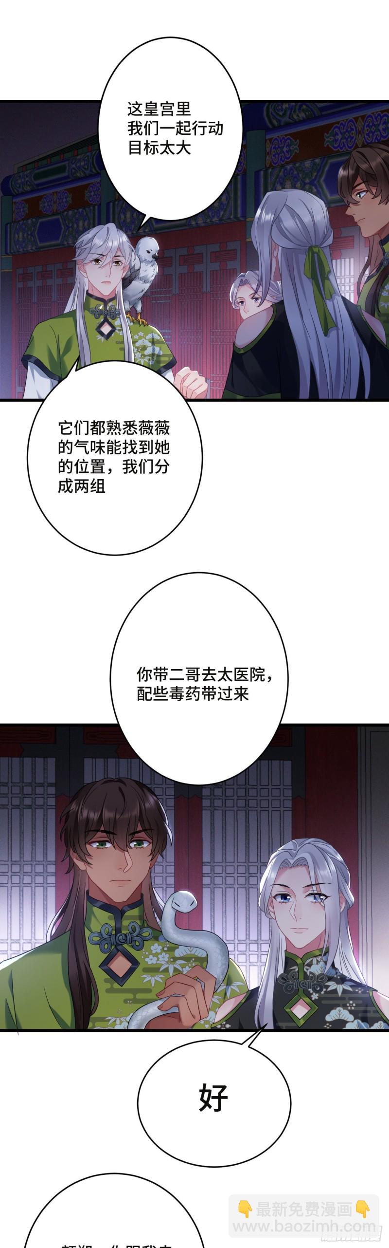 第106话 秃鸟的正确用法-第108话