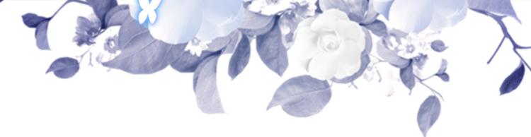 第七话(1/2)-第8话