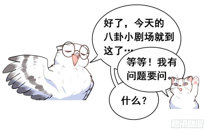 番外篇：神辅八卦小剧场-第36话