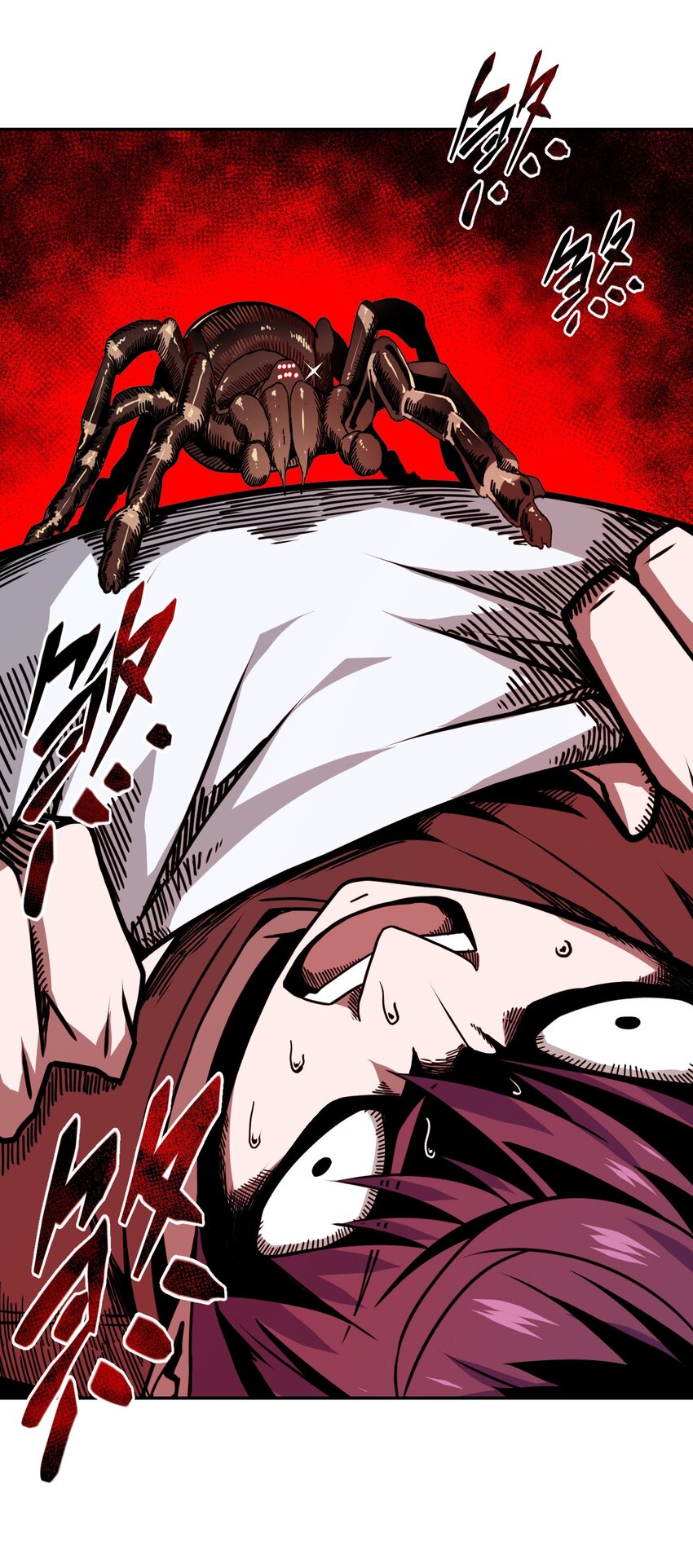 006 可以，但没必要(1/2)-第6话