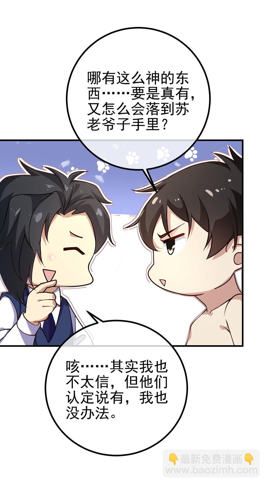 47 苏家的秘密(1/2)-第48话