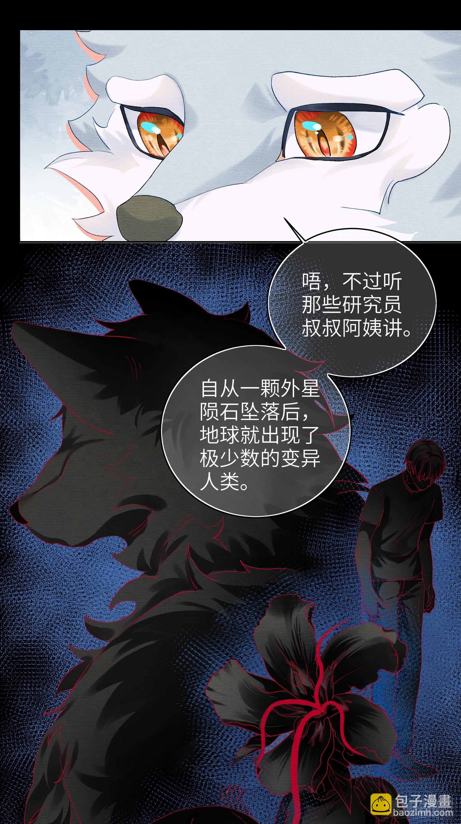 第12话 小狼人-第14话