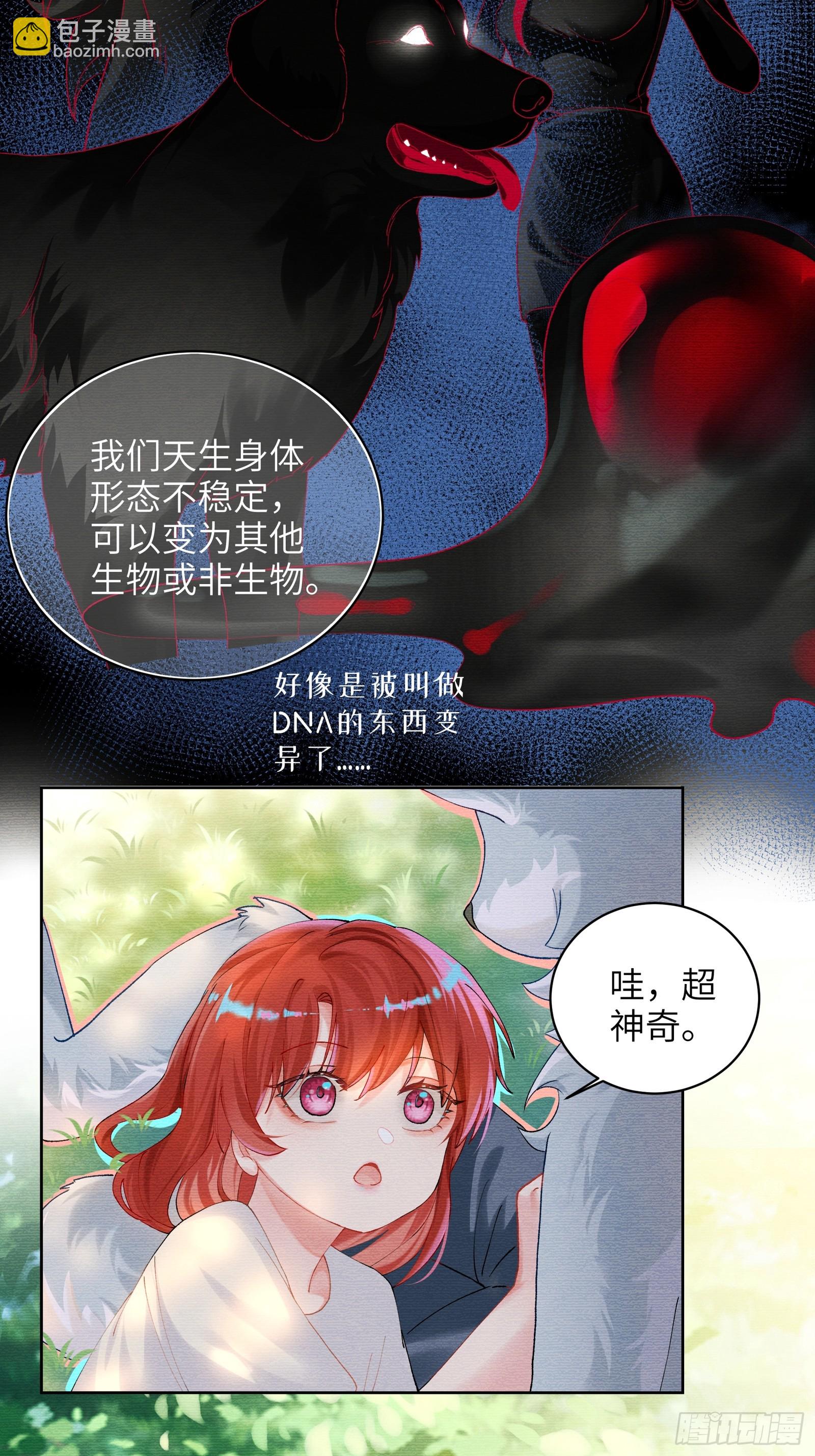 第12话 小狼人-第14话